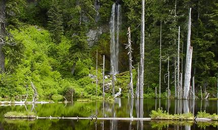 June Lake in the Mt St Helens National Volcanic Area