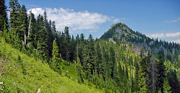 Craggy Peak in the Dark Divide